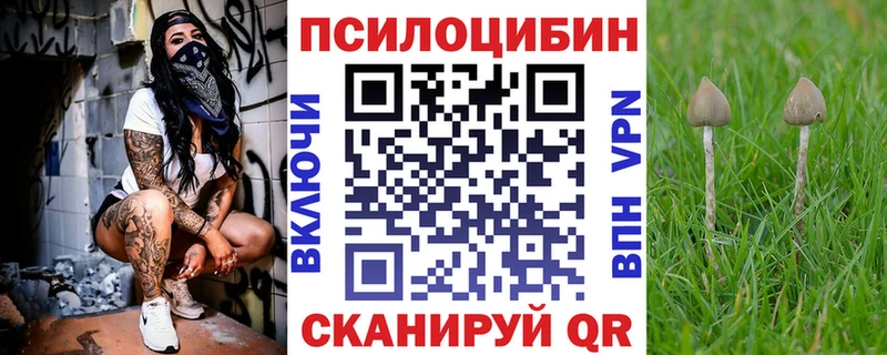 цена   Шлиссельбург  Псилоцибиновые грибы Magic Shrooms 
